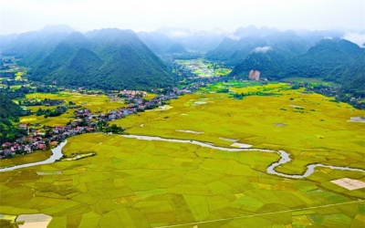 Thảm vàng ở thung lũng lúa Bắc Sơn